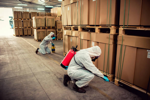 Trusted Stone Mountain, GA Pest Control Experts