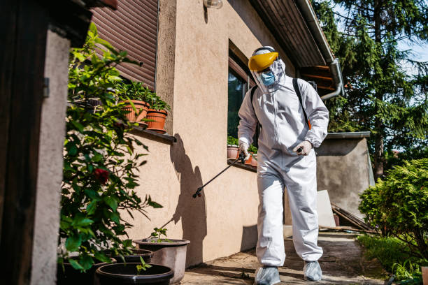 Best Pest Control Near Me in Stone Mountain, GA